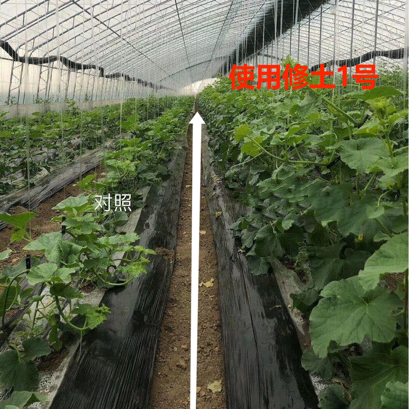 使用修土1號(hào)效果